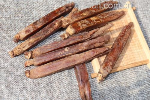 一根完整的高丽参根,呈深棕色至红褐色,表面有明显的纵向皱纹和支根痕迹,质地坚硬,断面呈角质状,带有典型的‘菊花纹’结构,背景为浅色木质托盘,光线柔和,突出药材的天然质感 高丽参根部特写