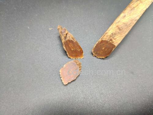 左侧为切片后的高丽红参,颜色偏深褐至黑色,表面有明显油润光泽,质地坚硬;右侧为淡黄色的西洋参切片,颜色较浅,断面呈粉质状,纹理清晰。背景为木质托盘,旁边配有放大镜,突出药材细节特征 高丽参与洋参实物对比图