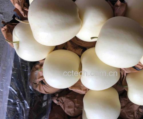 蒸好黄元帅苹果特写：苹果直立于白瓷碗中，表皮金黄泛琥珀光泽，表面凝结细密水珠，碗底积聚清澈金黄色果汁