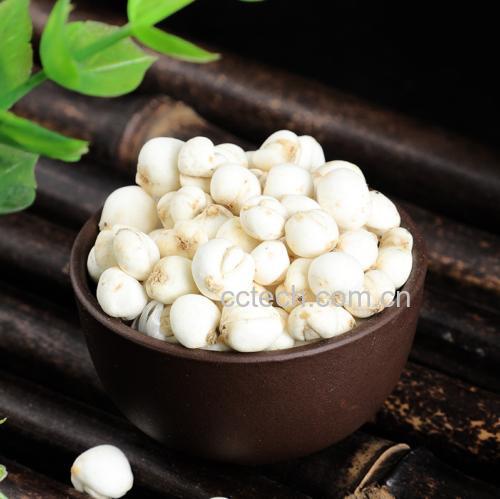 新鲜干燥的白莲子与充分泡发后的白莲子并列摆放,展示其膨胀状态变化,背景为白色陶瓷碗,光线柔和自然 白莲子浸泡前后对比图