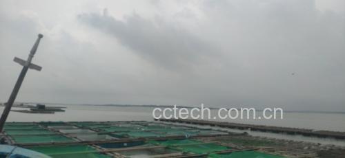 浙贝母种植基地实景