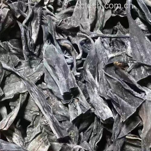 干海带丝清洗过程