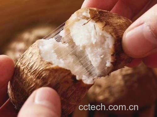 一个刚从微波炉取出、已剥去外皮的毛芋头,内部呈乳白色,冒着微微热气,旁边配有小碟子盛放蜂蜜和肉桂粉,背景为木质餐桌 切开后的热腾腾毛芋头