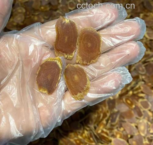 一名青少年正在喝加入高丽参片的养生茶 青少年食用高丽参