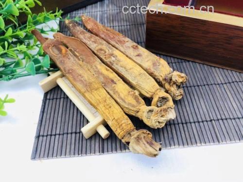 一碗热腾腾的高丽参炖鸡汤,旁边摆放着新鲜高丽参根 高丽参炖汤食谱
