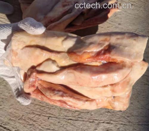 不同品牌的乳脂奶油包装对比,突出配料与脂肪含量差异 乳脂奶油产品对比图