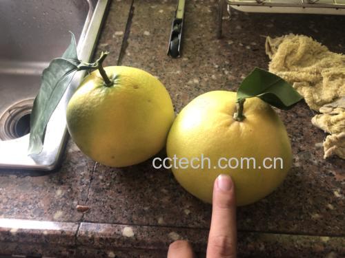 清洗蜜柚