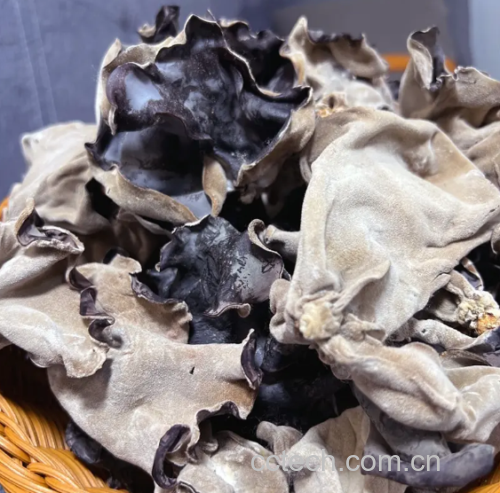 左侧为新鲜采摘的浅棕色毛木耳,朵形硕大,湿润饱满;右侧为晒干后的皱缩状毛木耳,颜色加深呈黑褐色,整齐码放在竹编簸箕中,背景为农贸市场摊位 市场摊位上摆放的新鲜与干制毛木耳对比图