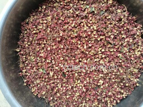 图片说明:展示花椒在玻璃罐中密封存放的方式,背景为厨房环境 花椒存储示意图