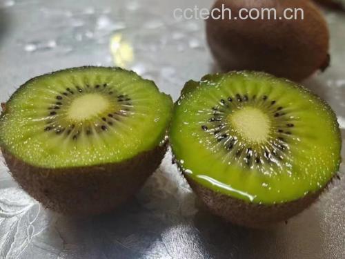 一碗燕麦酸奶碗中加入切片的徐香猕猴桃和坚果 徐香猕猴桃搭配早餐的健康组合