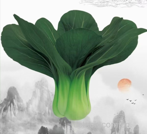 一幅描绘青提与健康饮食、运动生活方式相结合的插画 青提与健康生活方式插图