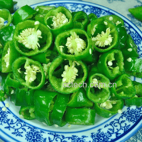 一道精致的酿青圆椒菜肴摆放在白色瓷盘中,每个青圆椒被纵向剖开,内部填充金黄色微焦的肉馅,表面略带酱汁光泽,旁边点缀几片香菜叶,背景虚化的厨房环境中可见灶台与调料瓶 青圆椒酿肉成品特写