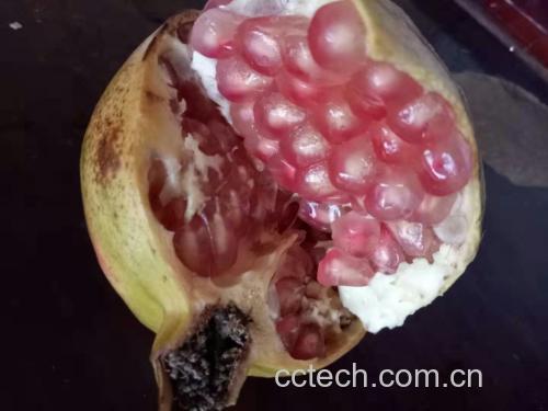 会理软籽石榴特写大图：单果横切面高清摄影，展示饱满均匀的玛瑙红色果肉、半透明软籽粒及浅棱沟果皮纹理，背景为金沙江干热河谷梯田地貌