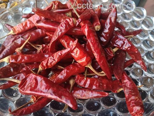 一瓶红色鲜艳、辣椒饱满的红泡椒成品,浸泡在透明液体中,背景为传统中式厨房环境 红泡椒成品展示