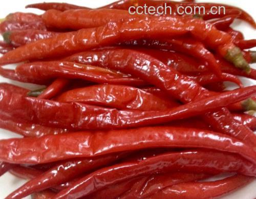 泡椒炒菜成品图