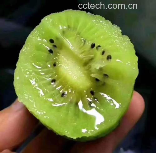 翠香猕猴桃横切面高清特写:展示标志性翡翠绿色果肉、均匀分布的黑色小籽、极细果心(直径≤3mm)、饱满汁囊结构,体现其高糖低酸、软糯多汁的感官基础 翠香猕猴桃切面特写:果肉翡翠绿、籽粒乌黑分明、汁水丰盈欲滴,果心细小呈放射状,背景为浅木纹砧板