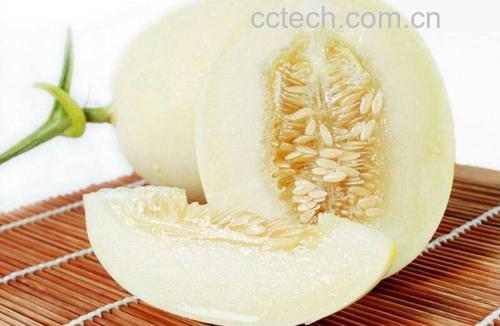 一个成熟的白梨瓜放置在木质案板上,果实呈乳白色略带淡黄,表皮光滑无裂纹,一端带有绿色瓜蒂,旁边切开一半展示内部白色脆嫩果肉与中心少籽腔,背景为自然光线下的厨房环境 白梨瓜整体外观特写