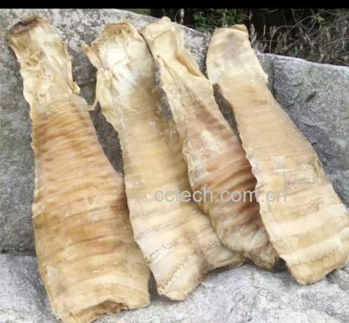 切片并初步腌制的旱黄瓜,整齐铺在竹筛上,准备晾晒 切片并初步腌制的旱黄瓜