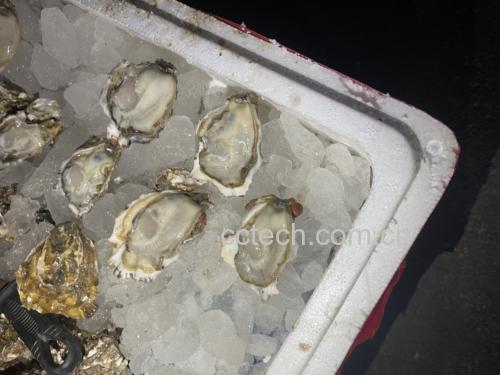 展示生食花蛤摆盘效果,搭配冰块和调料碗 花蛤生食成品图