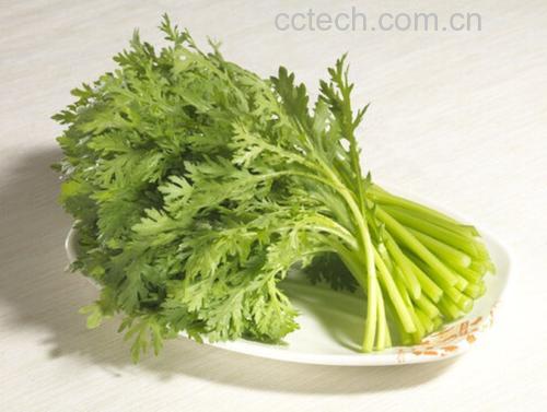 清蒸野菊花成品图