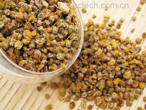 一位女性在厨房中用玻璃锅煮制野菊花水,锅中可见淡黄色液体翻滚,旁边放置干燥的野菊花花朵和纱布,背景为木质料理台,光线柔和自然 野菊花煎煮过程