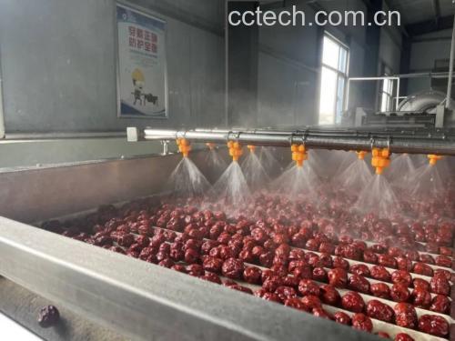 一名工作人员在洁净操作台上对青枣进行清洗、切块、摆盘,随后放入冷冻柜,旁边配有标签注明‘速冻青枣块’,展示标准化加工流程 青枣加工与冷冻处理流程图