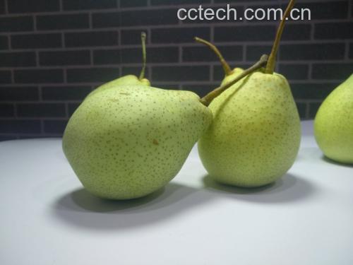 一位厨师正在用软毛刷仔细清洗一颗表皮光亮的水晶梨,水槽中有流动清水,背景为厨房操作台,光线明亮自然 新鲜水晶梨清洗过程