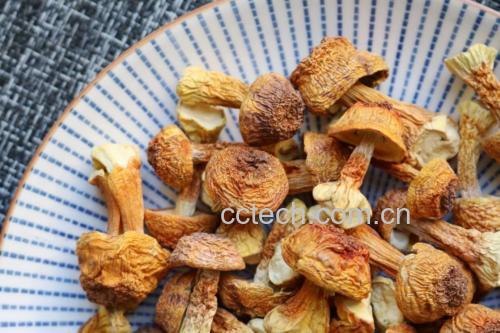 姬松茸炒牛肉成品图