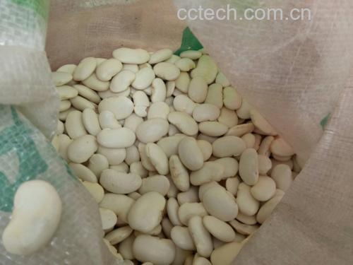 特写镜头下的干白扁豆,颗粒完整、表面光滑、呈乳白色扁椭圆形,散落在竹编簸箕上,背景虚化的橱柜中可见其他杂粮罐,营造自然健康的食材展示场景 白扁豆食材特写图