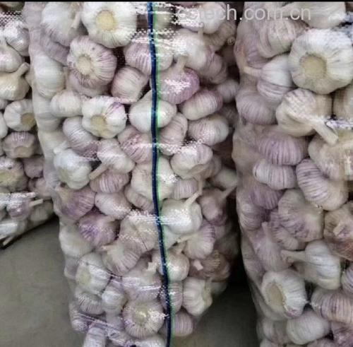 云南红蒜成品展示,透明包装突显颗粒饱满的品质 云南红蒜成品包装图