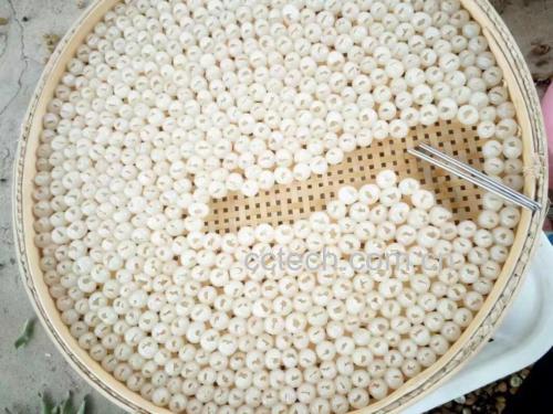 新鲜雪梨切块、干桂圆和红枣摆放在木质托盘上,呈现出温暖自然的色调 桂圆红枣雪梨原材料组合图