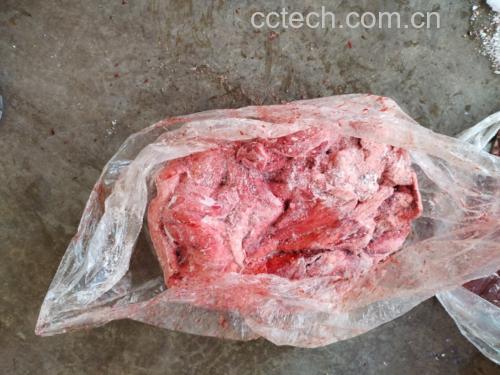 案板上摆放着新鲜猪肺、切好的雪梨片、姜片和枸杞,准备煲汤 食材准备图