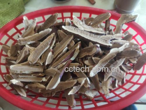 高清微距镜头拍摄:浅棕色赤灵芝切片(厚度约0.8cm)置于搪瓷煎药锅中,清水浸没药材1.5cm,锅底可见均匀细小气泡缓慢上升,水面浮有淡金褐色药液薄膜,锅沿凝结细微水珠,体现文火(85–95℃)持续煎煮30分钟的真实场景 赤灵芝切片文火煎煮过程特写