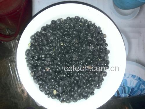 一锅黑豆正在砂锅中被小火慢炖,锅盖微启,热气升腾,黑豆已膨胀变软,汤色呈深褐色,周围摆放着泡发前的干黑豆和辅料如姜片、枸杞 黑豆在砂锅中慢火炖煮的过程