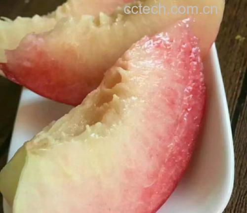 红桃带皮切片特写：展示果皮浓红、果肉乳白、近皮层淡粉色过渡带，切面可见细密果肉纹理，旁边放置柠檬角与不锈钢刀具