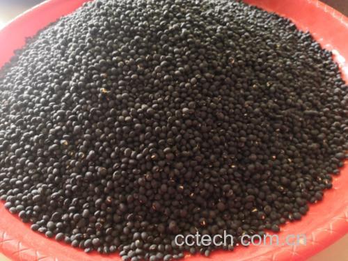 一盘完整的黑豆与另一盘已去除外皮的淡黄色黑豆仁并列摆放,展示两者颜色和质地差异,突出黑豆皮深紫色特征 黑豆整粒与去皮对比图