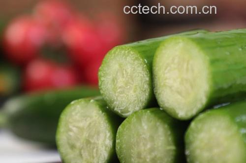 小黄瓜切片特写图,展示果肉结构与水分饱满度,适合用于健康饮食配图 小黄瓜切片特写图