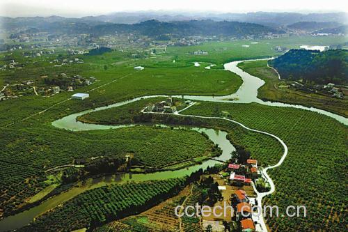 四川省安岳县连片柠檬种植基地,春季开花或秋季挂果时节的航拍画面,绿叶间点缀着金黄色的柠檬果实,远处有农民在田间劳作,展现生态农业场景 安岳柠檬果园航拍全景