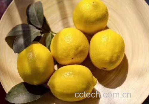 一张高清静物摄影图片,展示安岳柠檬的不同食用形态:切片泡水杯、果肉碗、柠檬皮刨丝器、柠檬蜂蜜罐、柠檬拌沙拉盘,背景为木质餐桌与自然光线,体现健康生活方式氛围 安岳柠檬多种食用方法展示图