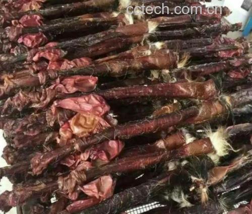 现代化鹿养殖场全景,围栏内有多只梅花鹿在活动,远处为鹿产品初加工车间,工人正在对鹿鞭进行清洗与干燥处理,体现从源头保障品质的过程 鹿养殖基地与加工车间
