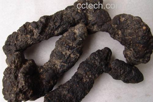 干燥的油松节药材样本,呈不规则块状或圆柱形节段,长度约3–8厘米,颜色为深黄褐色至黑褐色,表面有明显的横向裂纹和瘤状突起,断面木质部致密,可见年轮纹理,部分区域残留淡黄色树脂结晶 油松节药材标本特写