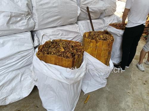 药房木质柜台上摆放着透明塑料袋封装的浅黄色柏子仁饮片,标签注明‘炒柏子仁’‘净重100g’‘批号20240901’,旁边配有戥秤和白色瓷盘,体现中药规范化管理场景 中药房内包装好的柏子仁饮片