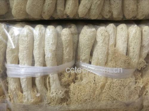 竹荪裙网入汤成品图,展示裙网在烹饪后的形态保持良好,呈半透明状,悬浮于清汤中,整体菜肴色泽自然,富有食欲感 一碗热气腾腾的竹荪炖鸡汤,汤色清澈,数段带完整裙网的竹荪漂浮其中,配以枸杞与红枣点缀
