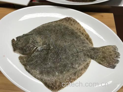 一位厨师正在厨房中用刀具仔细清理一条新鲜多宝鱼,鱼放在白色砧板上,旁边有姜片和料酒,背景为整洁的厨房环境 图片描述