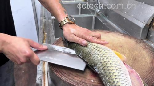 一位厨师正在案板上对一条新鲜多宝鱼进行去鳞和清理内脏的操作,鱼身两侧已划出斜刀口,旁边摆放着姜片、葱段和料酒,背景为整洁的厨房环境 多宝鱼处理过程