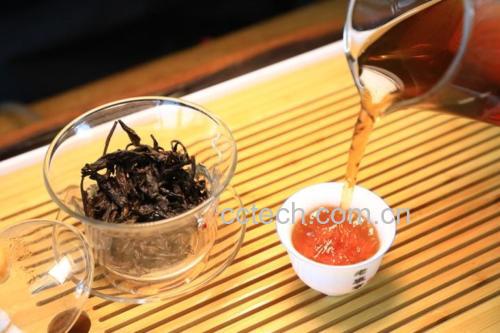 玻璃公道杯中正在注入热水,茶叶翻滚舒展,橙红明亮的茶汤逐渐形成,旁边摆放白瓷品茗杯,背景为杭州龙井村茶园晨雾景象 九曲红梅冲泡过程
