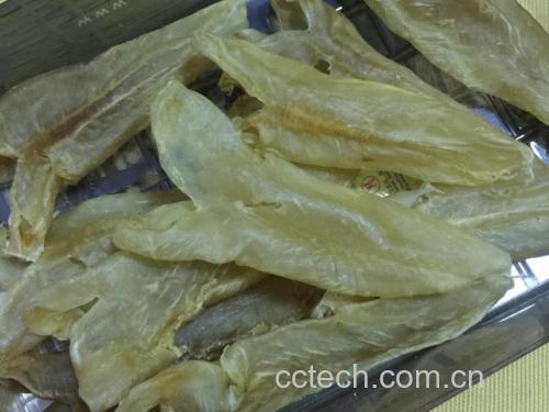 左侧为淡干黄花鱼胶,呈半透明黄色片状,表面有自然纹理;右侧为完整川贝母干品,呈类圆锥形或心脏形,外层两枚鳞瓣大小悬殊,抱合紧密,色白质硬,顶端闭口,基部平切 黄花鱼胶与川贝母原料对照图