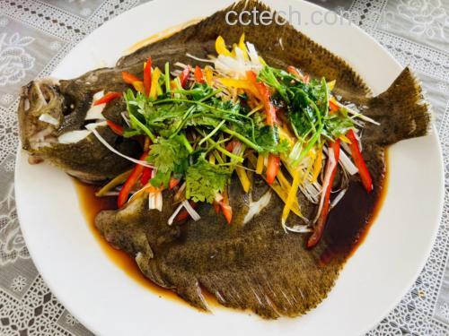 一条已去鳞、去内脏、清除黑膜并打好花刀的新鲜多宝鱼,平放在白色瓷盘中,鱼身两侧有整齐的斜切刀口,腹部清洁无残留,整体呈现湿润光泽感 处理后的多宝鱼特写