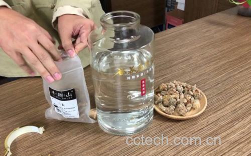 侧柏枝泡酒成品展示,瓶中酒液清澈透亮,侧柏枝清晰可见 侧柏枝泡酒成品图