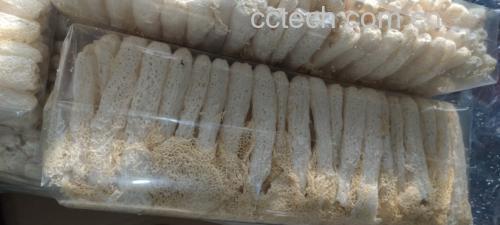一幅手绘风格的长裙竹荪纵向剖面图,标注出各部位名称:顶部菌盖、中部菌裙(网状部分)、菌柄、底部菌托,并用箭头注明菌托需切除,其余部分可食用 竹荪内部结构解剖示意图